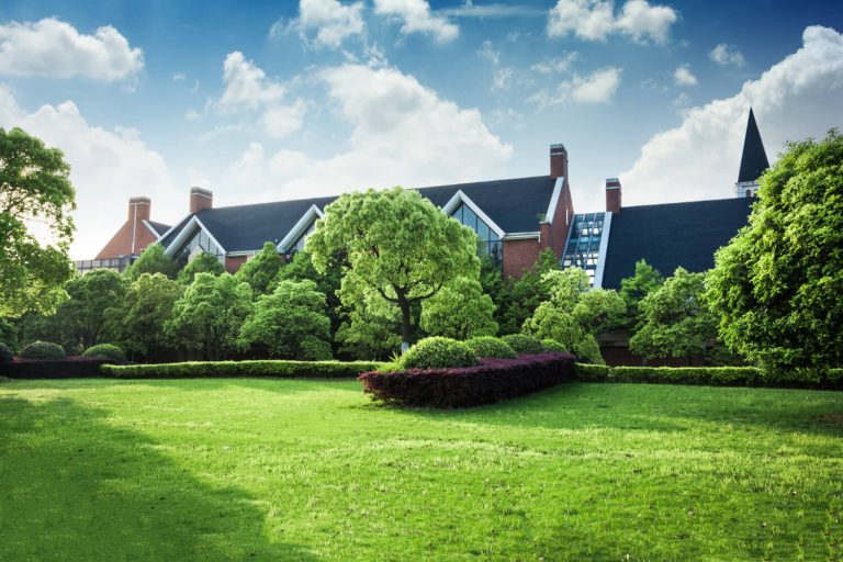 Landscaping