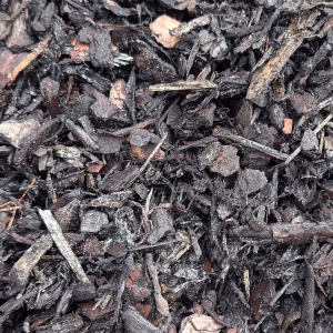 Black Dyed Mulch