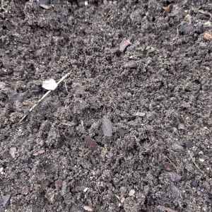 Compost