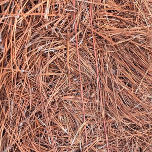 Pinestraw